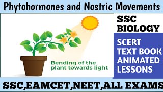 Understanding Phytohormones in Class 10th BiologyExploring Phytohormones Class 10th Biology Lesson [upl. by Yednil]