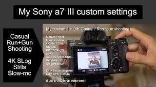 Sony a7iii Custom camera settings  Rungun  Casual shooting [upl. by Ahsino]