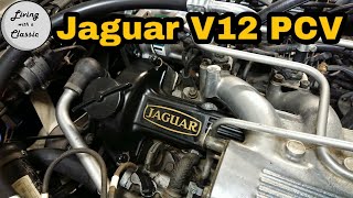 Jaguar PCV  How to clean and inspect the Jaguar V12 PCV [upl. by Chadabe]