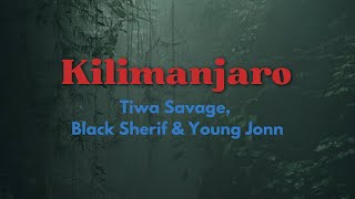 Tiwa Savage Kilimanjaro ft Black Sherif amp Young Jonn lyrics video [upl. by Rehptsirhc]