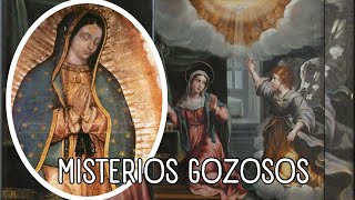 Misterios Gozosos  Señor Tu Amor Perdura Eternamente Aleluya  Santo Rosario [upl. by Nij961]