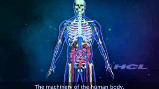 The Organ Systems of the Human Body [upl. by Atekehs742]