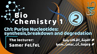 Biochemistry 1 Ch1 part 2  Purine Nucleotides synthesis breakdown and salvage [upl. by Anotyal]