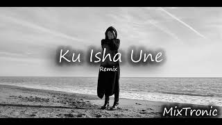 Flori Mumajesi  Ku isha une ft Argjentina MixTronic Deep House Mix  Muzikë Shqiptare 2023 [upl. by Fleischer144]