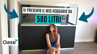 IL MIO NUOVO ACQUARIO DA 580 LITRI ve lo presento 💦 [upl. by Nbi]