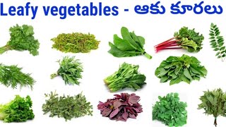 Leafy vegetables names leafy vegetables ఆకుకూరల పేర్లు English to Telugu leafy vegetables names [upl. by Erdried]