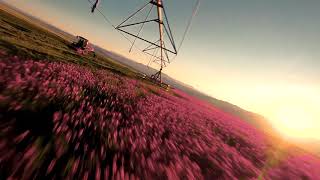 Sainfoin Farming in Montana [upl. by Josselyn]