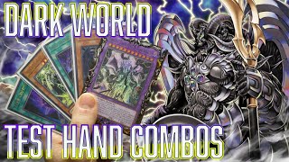 YUGIOH Dark World Test Hand Combos JAN 2024 [upl. by Kus]