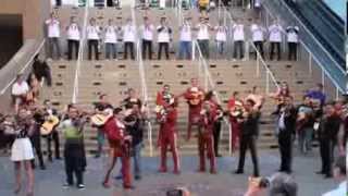 Pulling Strings Mariachi Flashmob [upl. by Dlanigger509]