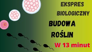 Expres biologiczny  budowa roślin Anatomia roślin biologia [upl. by Lebatsirhc]