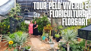 TOUR POR UMA FLORICULTURA QUE TEM DE PLANTAS MORDENAS Ã€ PLANTAS DA VOVÃ“  PLANTAS ORNAMENTAIS [upl. by Schoening186]