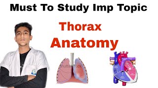 Explore The Imp Topic In Thorax Anatomy  1 st year professional exam [upl. by Laddy]