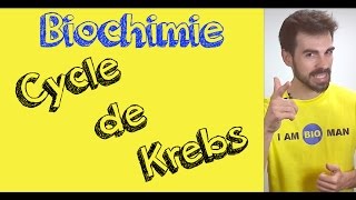 Cours de biochimie cycle de Krebs [upl. by Ringe]