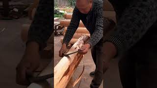 Remove the bark from the tree diy shorts carpentry [upl. by Bart]