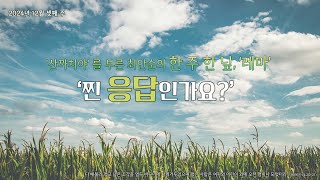 산까치야를 부른 최안순의 산까치 TV 한 주 한 닢 레마 “찐 응답인가요” [upl. by Ahon82]