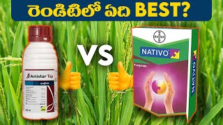 Amistar Top Vs Nativo  Amistar Top Syngenta  Azoxystorbing  Difenoconazole  Bayer Nativo Price [upl. by Laris]