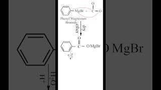 Preparation of Benzoic acid from Grignard Reagent  Carboxylic acid  Organic Chemistry Class 12 [upl. by Ycats]