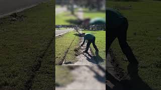 ASMR Lawn Transformation Mowing Long Grass and Yard Cleanup [upl. by Aicul]