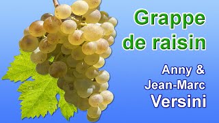 Anny Versini JeanMarc Versini  Grappe de raisin Clip officiel [upl. by Lyrahs196]