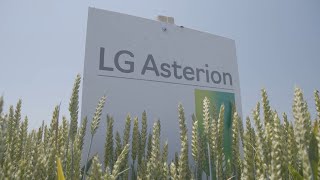 Agromarket sorte strnih žita  LG ASTERION I SOLINDO 2023 [upl. by Vange]