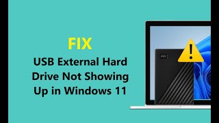 USB External Hard Drive Not Showing Up in Windows 11 [upl. by Nyladam]