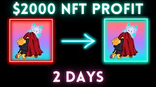 FROM ZERO TO 2000 FLIPPING NFTS  NO SOFTWARE NEEDED [upl. by Acherman420]