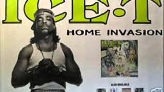 IceT  Home Invasion  track 16  99 Problems [upl. by Stesha]