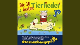 Die Vogelhochzeit Bekanntes altes Kinderlied [upl. by Yevre]