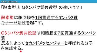 高校生物「細胞膜受容体・Gタンパク質」 [upl. by Floeter]