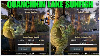 Unique Redear Sunfish Guide  Quanchkin Lake  Fishing Planet  Re  Catch All Fish [upl. by Phaih]