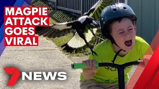 Australian boys magpie attack caught on camera  7NEWS [upl. by Naot279]