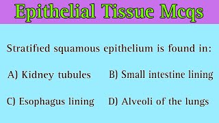 Epithelial Tissue Mcq  epithelial tissue mcq class 11 [upl. by Beller]