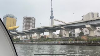 Tokyo Cruise from Toyosu to Asakaua 🛳️ [upl. by Enylecoj]