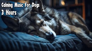 🐶🏠❤3 Hours Anti Anxiety Music For Dogs 🐶 Stress Relief Music For Dogs ♬ Calming Music For Dogs [upl. by Eisoj]