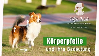 Körpersprache Hund  Körperpfeile und ihre Bedeutung [upl. by Pierce]