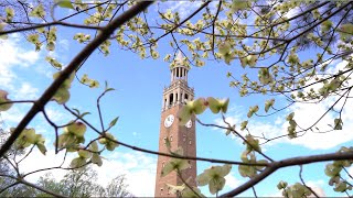 UNCChapel Hill Board of Trustees Meeting  November 7 2024 [upl. by Elohcin]