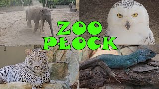 ZOO Płock [upl. by Anrol375]