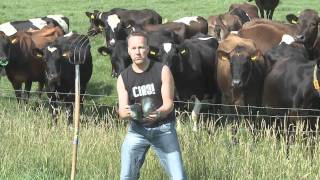 Burdy  Boeren originele video [upl. by Wagstaff]