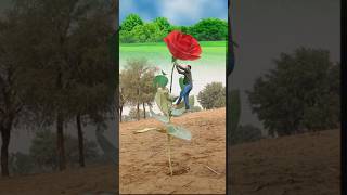 Creative देशी आक videography idea filmfare 💡magic shorts [upl. by Henarat]