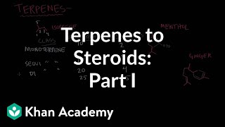 From terpenes to steroids part 1 Terpenes  Endocrine system physiology  NCLEXRN  Khan Academy [upl. by Koziarz]