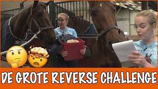 Reverse Challenge Halloween poetsen  PaardenpraatTV [upl. by Joses]