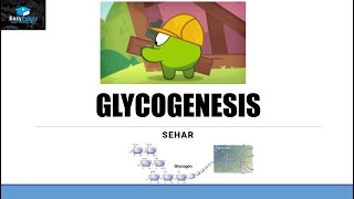 Glycogenesis Glycogen Synthesis [upl. by Asselem556]