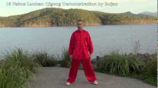 18 Palms Luohan Qi Gong  Qigong amp Tai Chi Brisbane amp Gold Coast [upl. by Abeu]