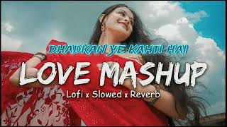 Dhadkan Ye Kahti Hai  Slowed  Reverb  Arijit Singh song [upl. by Cia]