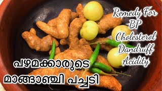 പഴമക്കാരുടെ മാങ്ങാഞ്ചി പച്ചടി  Manga Inji Pachadi  Mango Ginger pachadi [upl. by Enilehcim739]