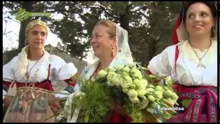 Il Matrimonio 800esco i rituali della dodda 03 Baranello Viaggio in Molise Puntata 2284 [upl. by Merete872]