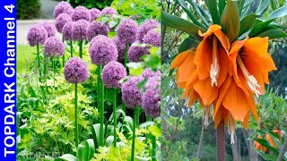 10 Plantas bulbosas que florecen en primavera [upl. by Ahselrac564]