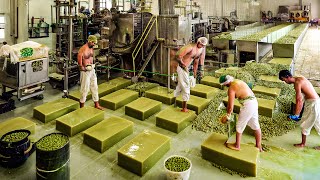 How Millions Tons of Olive Soap Bars Are Produced in the Factory  Harvesting and Processing Olives [upl. by Harlow]