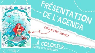 Agenda Disney à colorier 2024 2025  Hachette Heroes [upl. by Harriett]