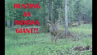 HUNTING AN INDIANA GIANT AND ENCOUNTER deerhunting deer bowhunting bigbucks giantbuck [upl. by Eidna]